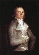 Andres del Peral Francisco Goya
